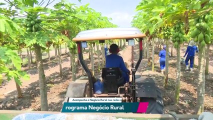 Seminário de Defesa Agropecuária do Espírito Santo