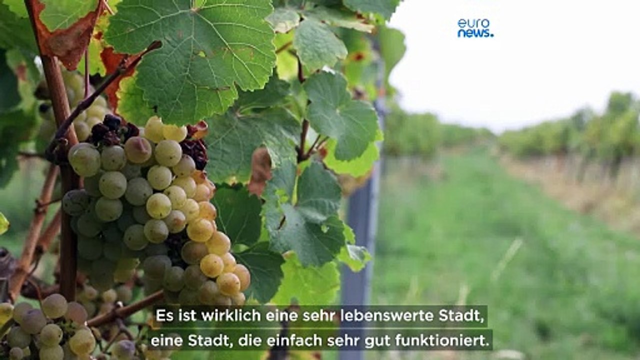 Zum dritten Mal in Folge: Wien zur lebenswertesten Stadt der Welt gekürt