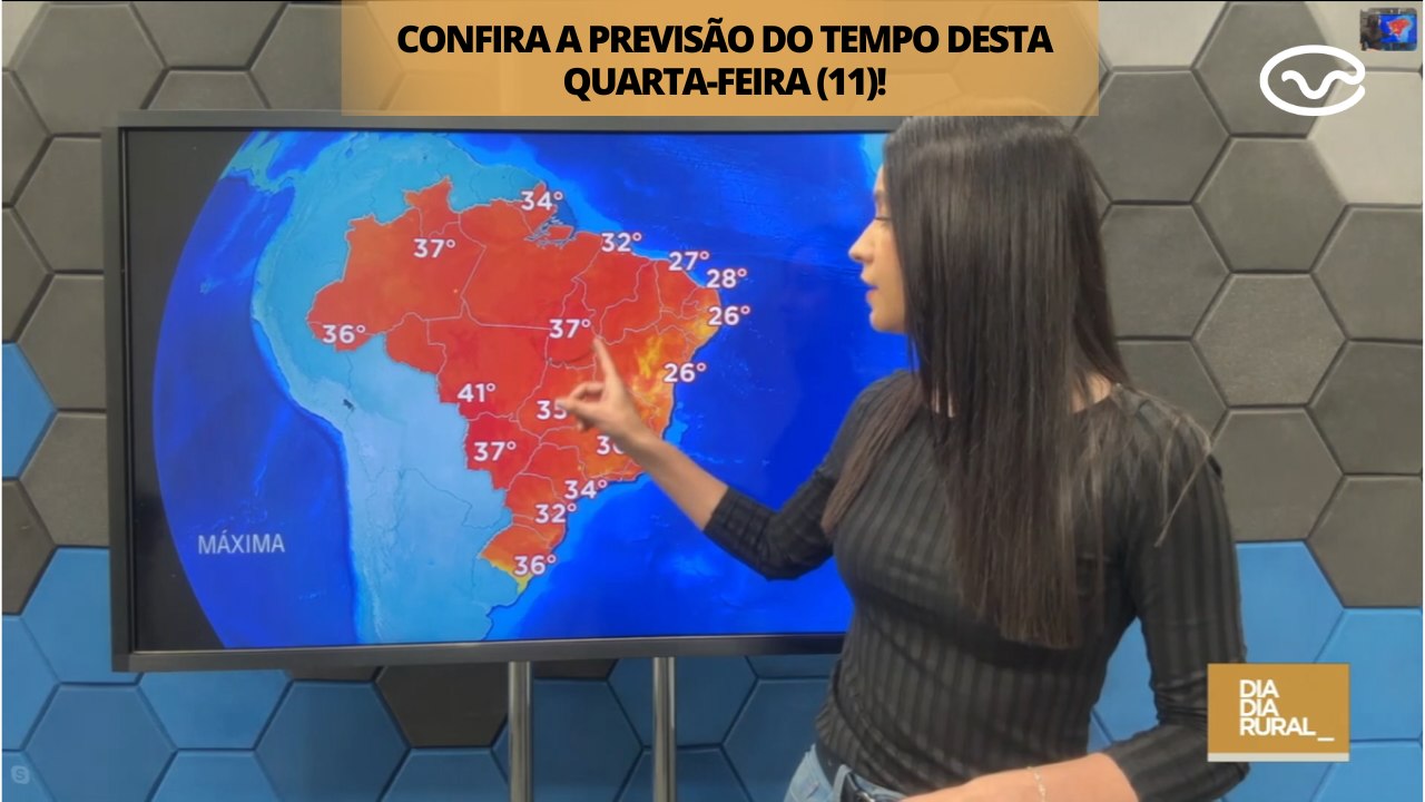 Previsão do tempo desta quarta-feira (11)!