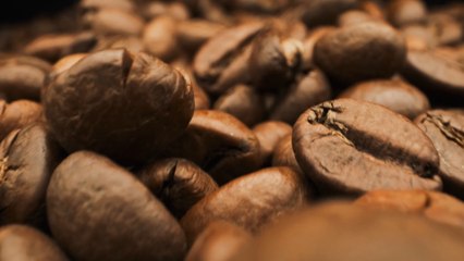 The foods we love could soon be gone forever, say Fairtrade Foundation