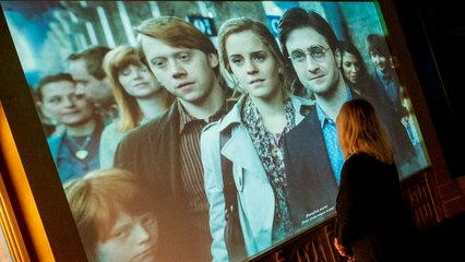 HBO is looking to cast the next Harry Potter
