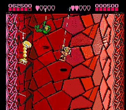 Battletoads online multiplayer - nes