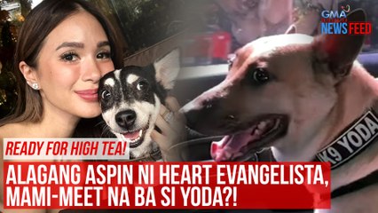 Download Video: Alagang aspin ni Heart Evangelista, mami-meet na ba si Yoda?! | GMA Integrated Newsfeed