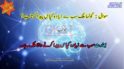 World Countries & Tech Information Quiz: Secrets No One Tells You 2023-2025