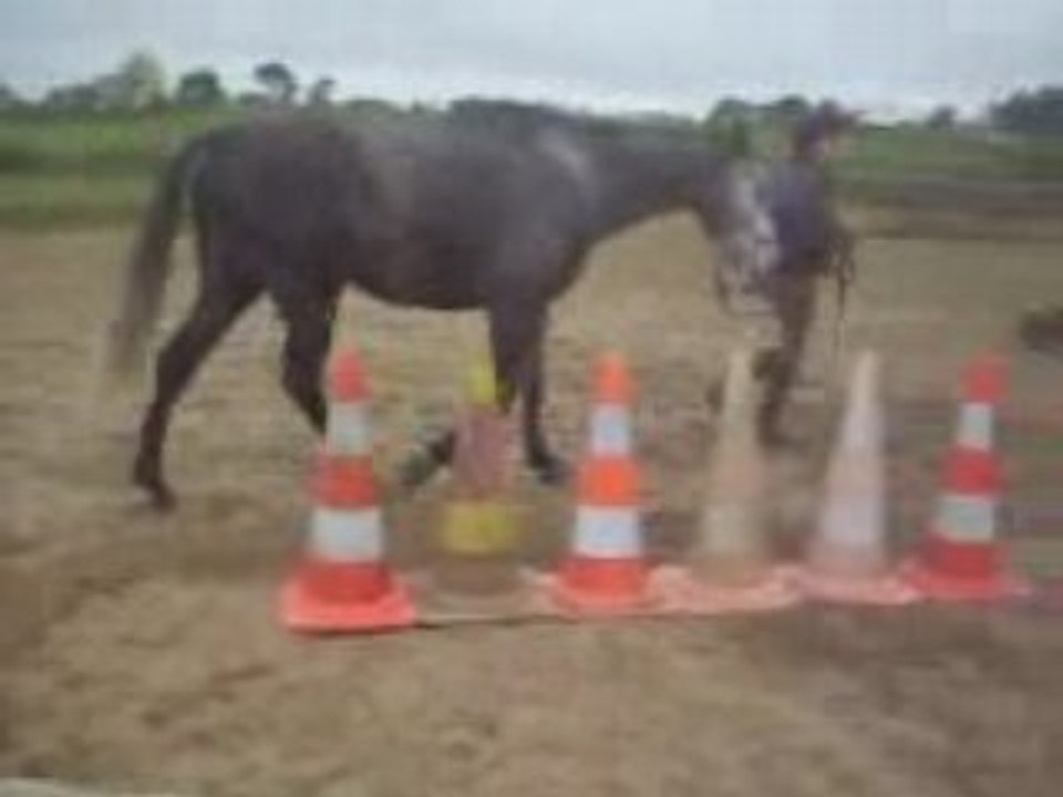 Onyx le 20 avril travail a pied