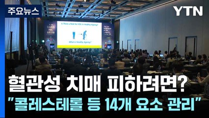 혈관성 치매 피하려면?..."콜레스테롤 등 14개 요소 관리" / YTN