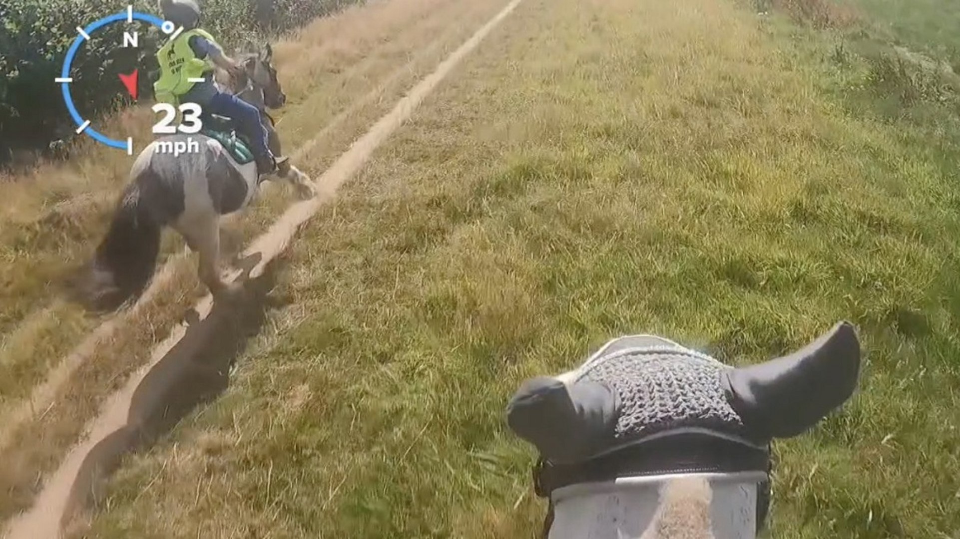 ⁣Terrifying moment 10-year-old's horse bolts reaching 28mph