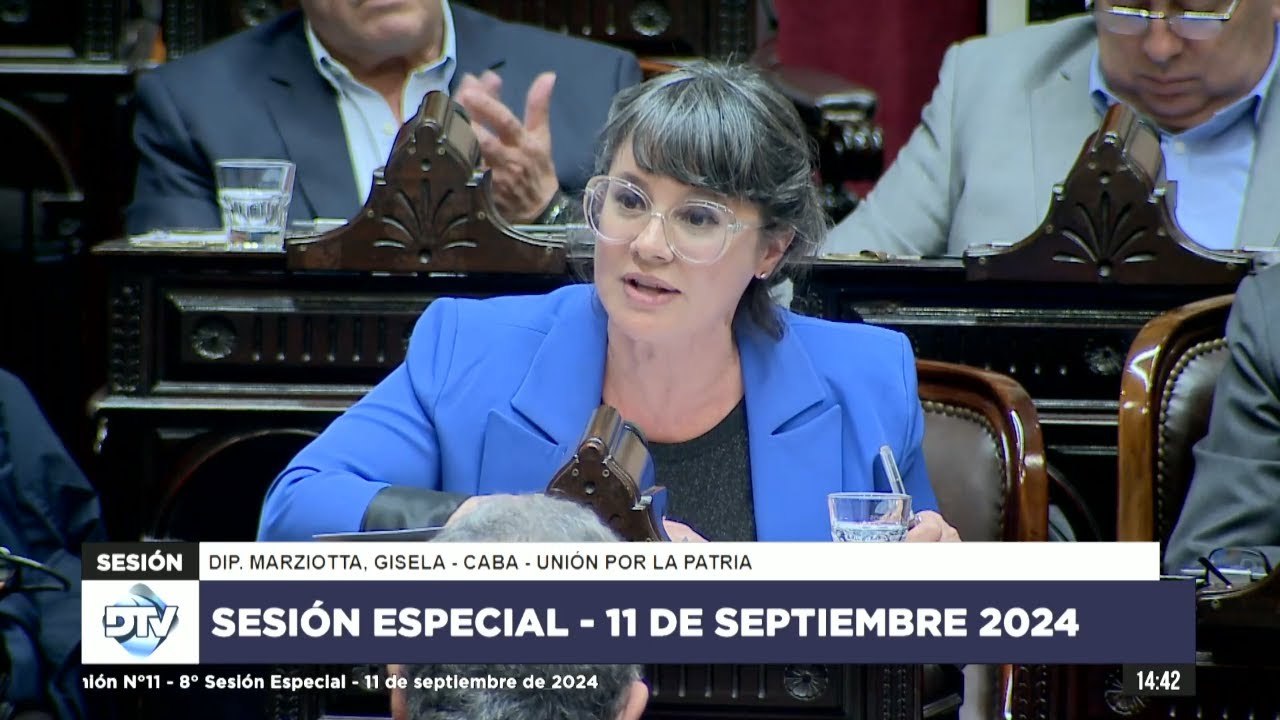 Gisela Marziotta en contra del veto de Milei a la movilidad jubilatoria: "Es un gobierno negacionista"