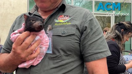 Devil's in the detail as threatened species list grows