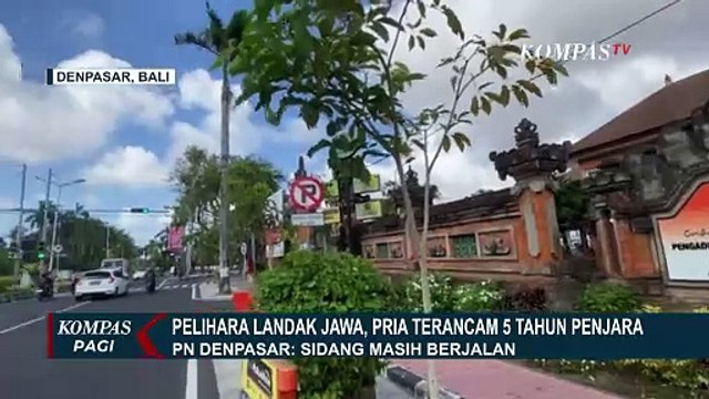 Belum Dijatuhi Vonis, Pria di Bali yang Pelihara Landak Jawa Terancam 5 Tahun Penjara