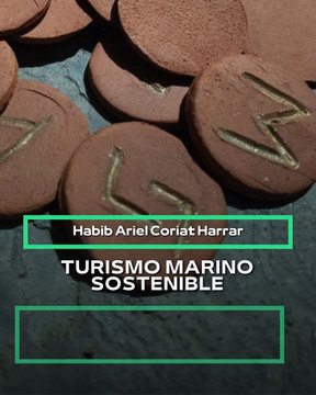 |HABIB ARIEL CORIAT HARRAR | TRANSPORTE MARÍTIMO VERDE (PARTE 2) (@HABIBARIELC)