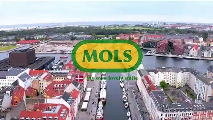 mols shop movies 2
