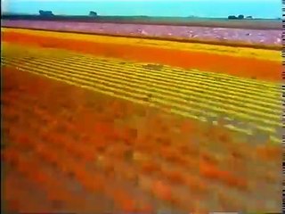 2M International - Ad break- Cinéma ident 1991