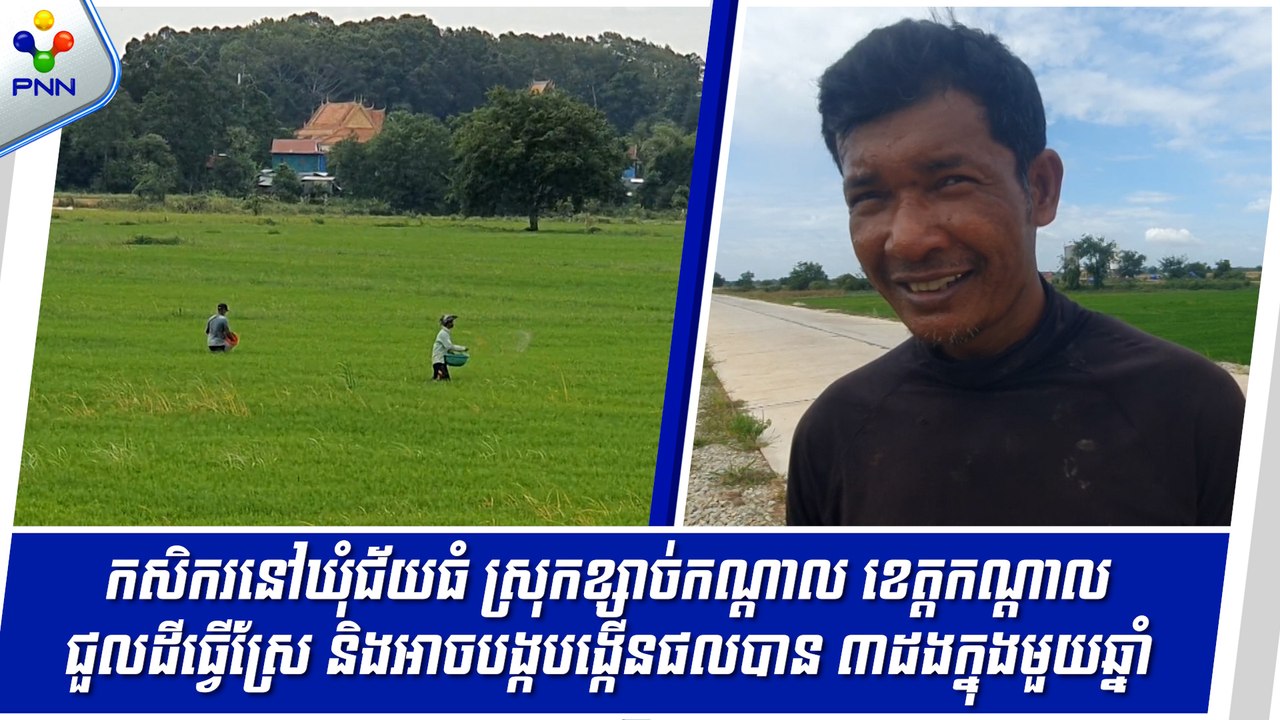 [12-09-24] កសិករនៅឃុំជ័យធំ ស្រុកខ្សាច់កណ្តាល ខេត្តកណ្តាល ជួលដីធ្វើស្រែ និងអាចបង្កបង្កើនផលបាន ៣ដងក្នុងមួយឆ្នាំ