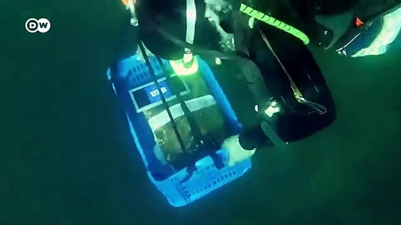 Los secretos de los incas; investigación en los Andes