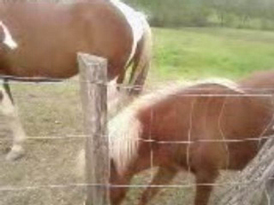 petit coucou à Doudou