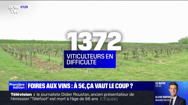 Foires au vins: derrière les prix bas, des viticulteurs en difficulté