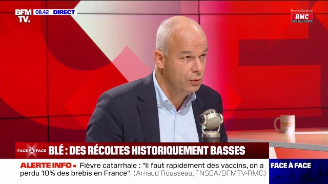 Récoltes de blé en baisse: Arnaud Rousseau (FNSEA) estime qu'il n'y aura pas de conséquence sur les prix