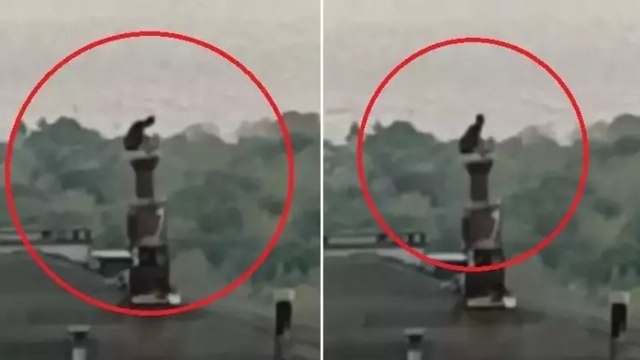 Cezaevi firarisi, saklandığı evin bacasından çatıya çıkarken yakalandı! O anlar kamerada