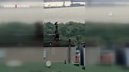 Polisten kaçarken bacaya sıkışan firari hükümlü anbean kamerada