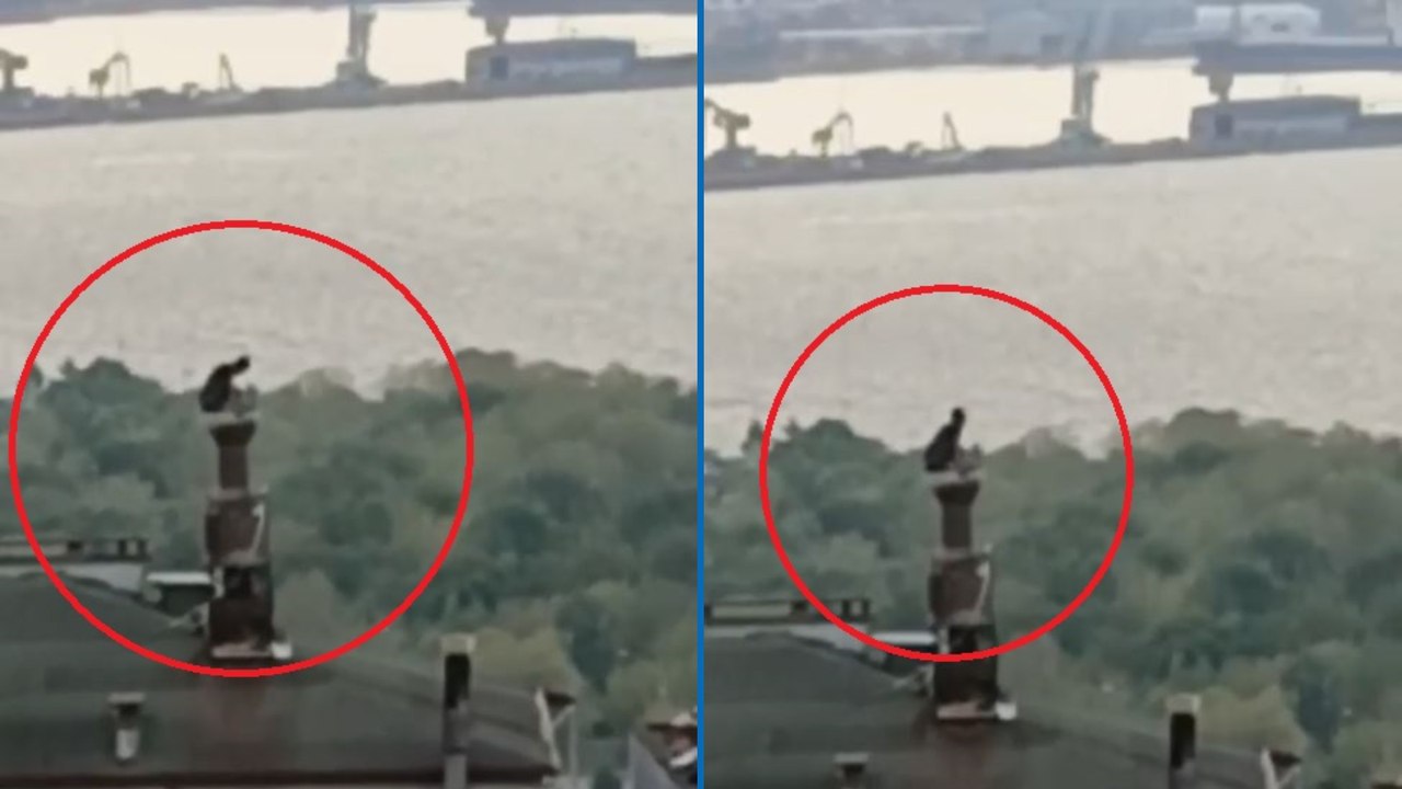 Cezaevi firarisi, saklandığı evin bacasından çatıya çıkarken yakalandı; o anlar kamerada