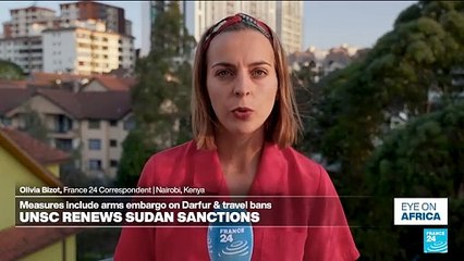 UN Security Council extends arms embargo on Sudan