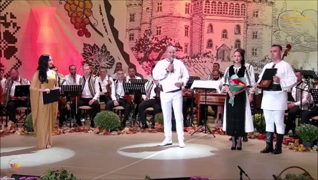 Nae Ioan Valeriu - Premiul pentru interpretare instrumentala (Fest. Strugurele de aur - Alba-Iulia - 06.08.2024)