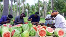 WATERMELON JUICE _ Farm Fresh Fruit Juice Making _ Watermelon Craft _ Watermelon Experiment