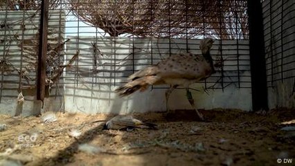 India's Supreme Court upholds right to climate justice