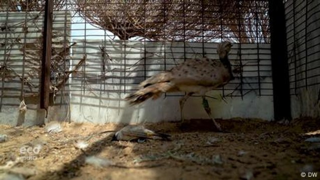 India's Supreme Court upholds right to climate justice