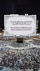 Best Quotes #shortsviral #surah #shorts #short #shortvideo #shortsfeed #shortsyoutube #shortsbeta