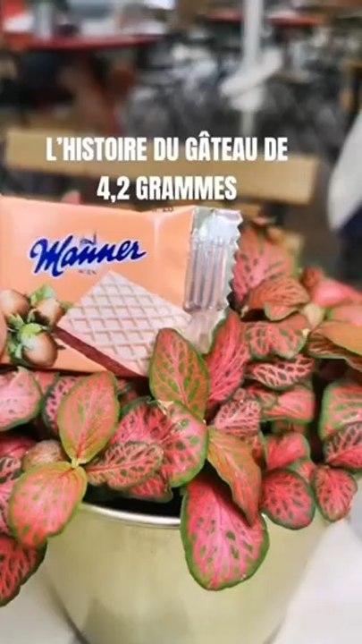 La fameuse histoire ! Resolution pour la rentree !