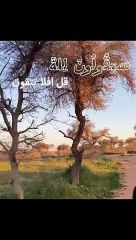 قراءة آيات من سورة المؤمنون / القران الكريم / أحمد النفيس