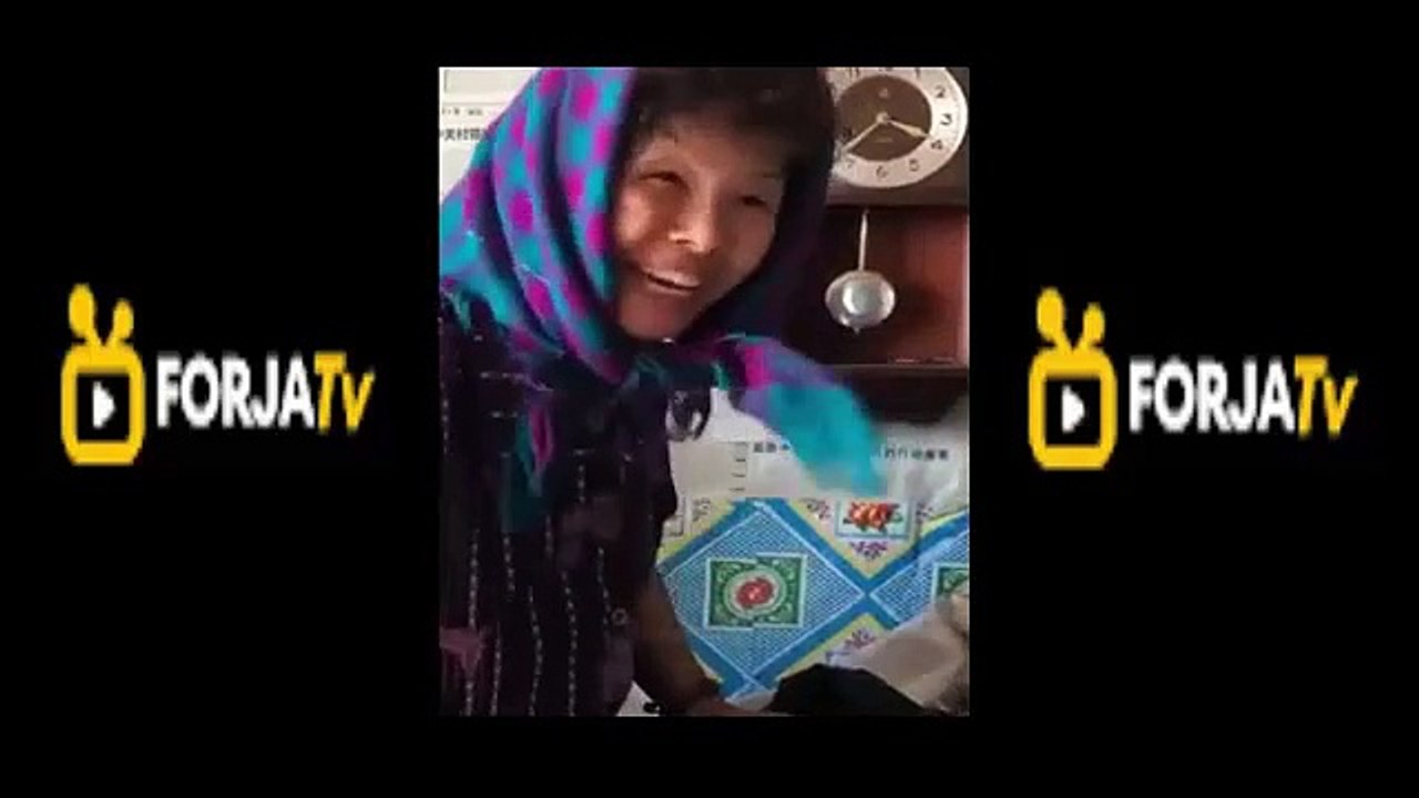 Funny Videos 2024