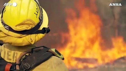 La California brucia, il vento alimenta le fiamme