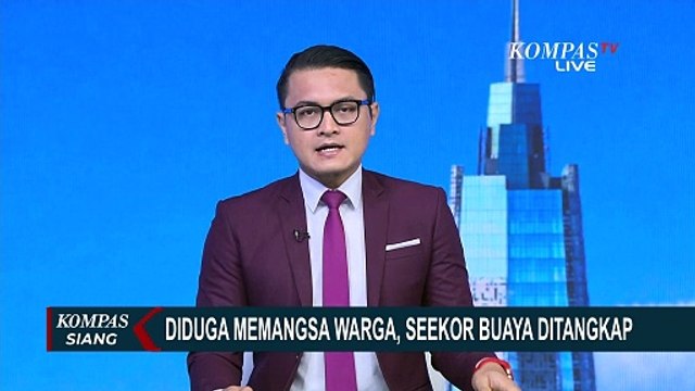 Diduga Mangsa Warga yang Sedang Mandi di Sungai, Seekor Buaya Berukuran Besar Ditangkap!