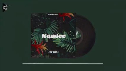 KAMLEE (Official Audio) SARRB _ Starboy X