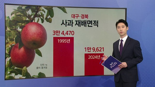 '기후 위기' 직격탄 맞은 과수 농가...신품종이 돌파구 될까 [앵커리프토] / YTN