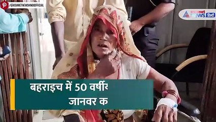 गिरफ्त में मादा भेड़िया तो और खूंखार हुआ 'लंगड़ा सरदार', युवक ने बताई आंखों देखी