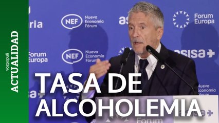 Marlaska propone rebajar la tasa de alcohol al volante de 0,5 a 0,2