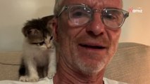 Koh-Lanta : Denis Brogniart présente le chaton qu'il a sauvé lors du tournage, et cherche de l'aide pour le rapatrier