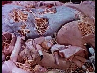 Les chimères des Švankmajer - Documentaire 2001