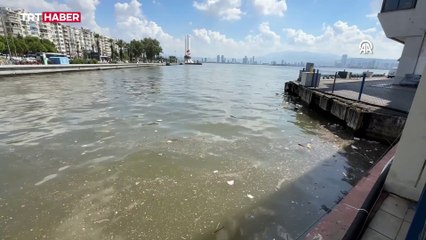İzmir Körfezi'nde bu kez de atık kirliliği gözleniyor