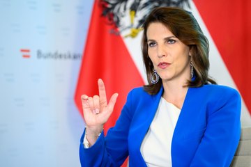 ÖVP will Zugang zur Staatsbürgerschaft erschweren