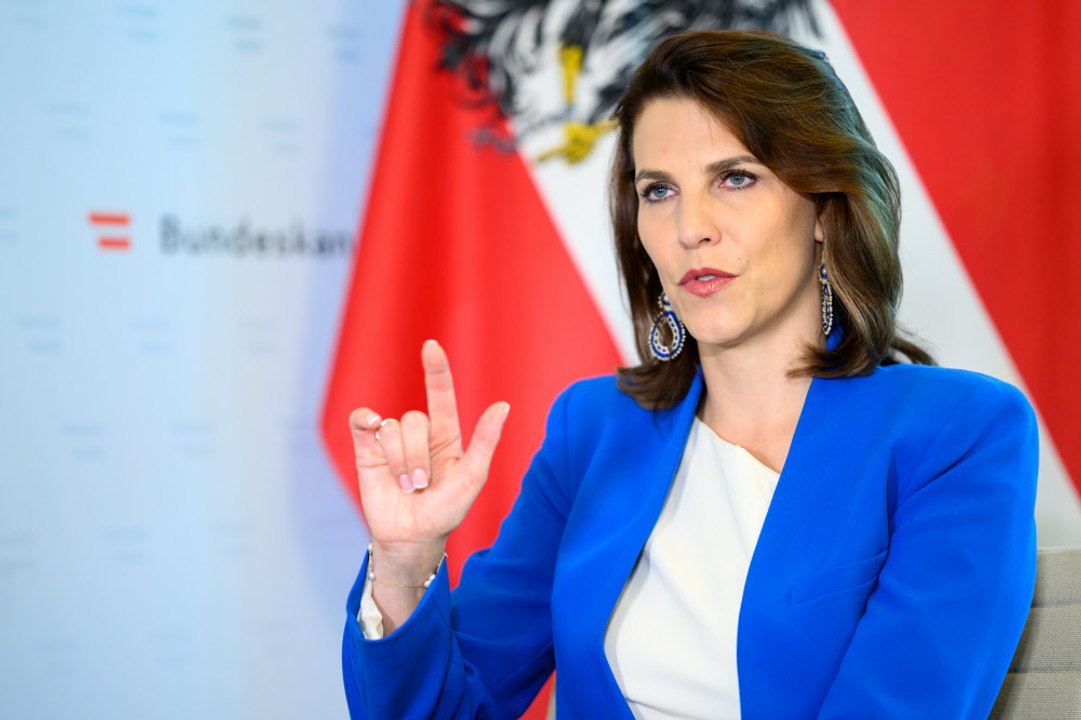 ÖVP will Zugang zur Staatsbürgerschaft erschweren