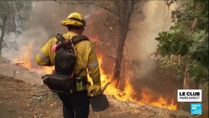 Incendies en Californie : l'état d'urgence décrété à Los Angeles