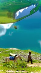 Nature And Love Music  #foryou #shortsviral #viral #love