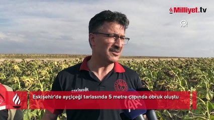 Burası Konya değil! Bir kentte daha dev obruk paniği