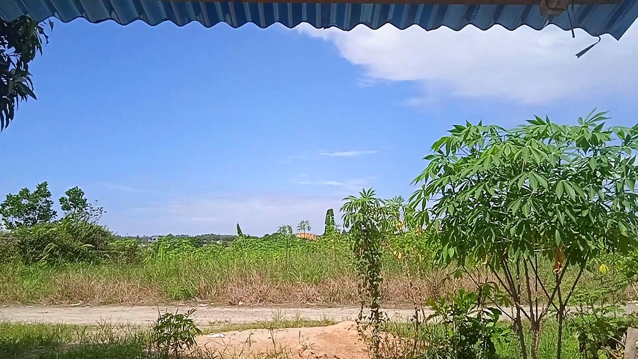 Suasana Desa