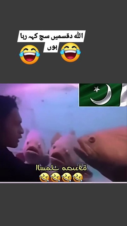 Here are some more funny video title ideas:  1. "F